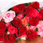 初回3か月実質無料でH動画が見放題！DMMプレミアム！FANZA TV